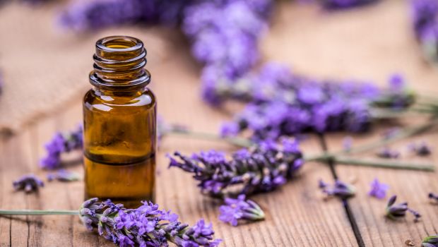 Lavender Oil For Improved Scalp Health and Top 10 Other Uses