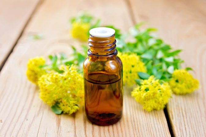 Patchouli Oil as an Insect Repellent and Benefits to the Body