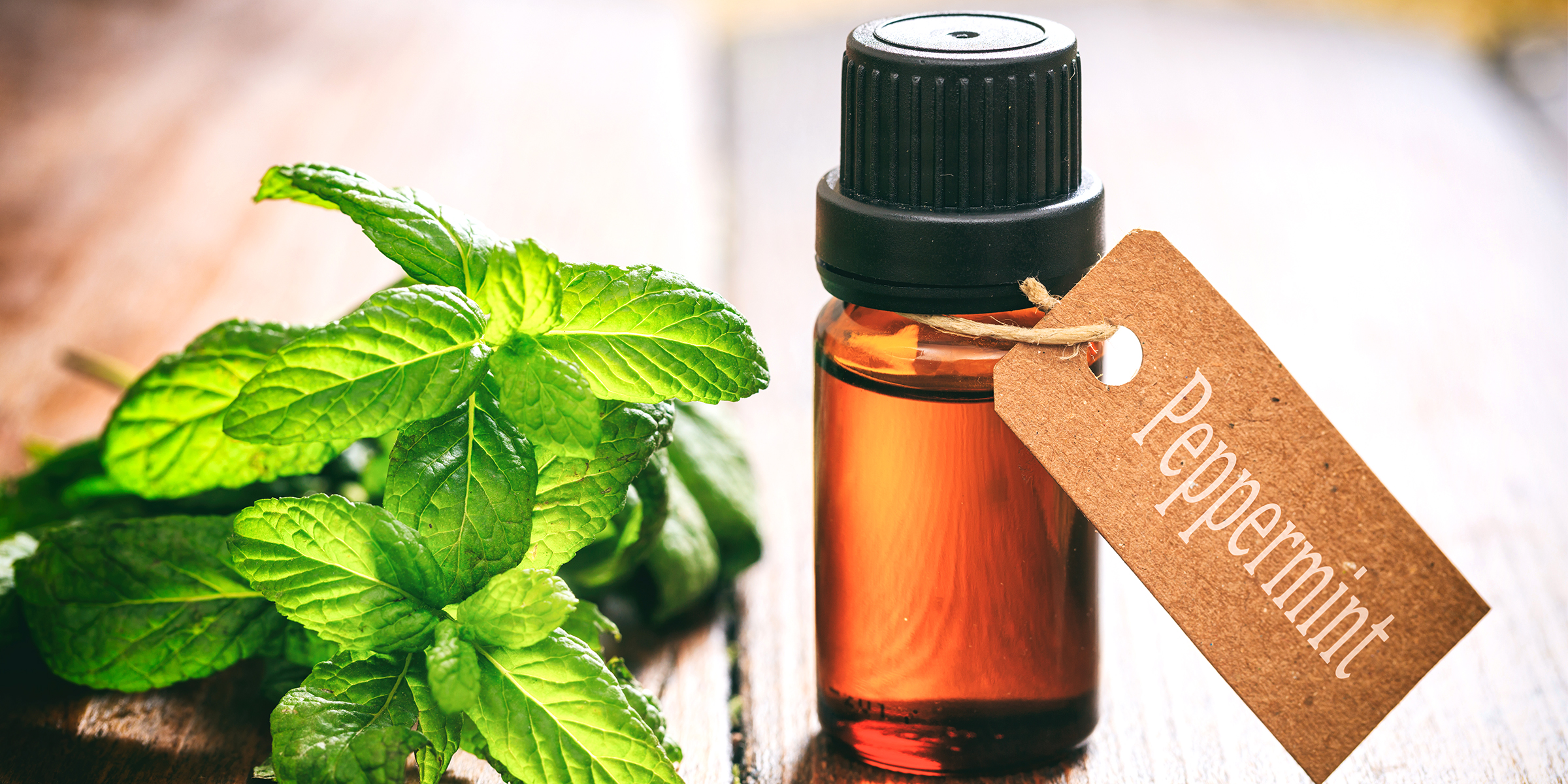 Peppermint Oil for Acne, Skin and Headaches Plus Top Ten Other Uses