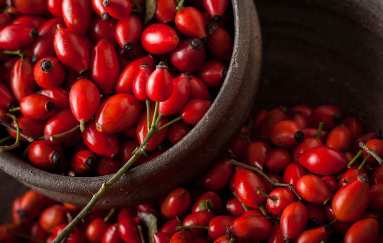 Rosehip Oil for Wrinkles, Scars, Skin Cancer and Immune System Booster