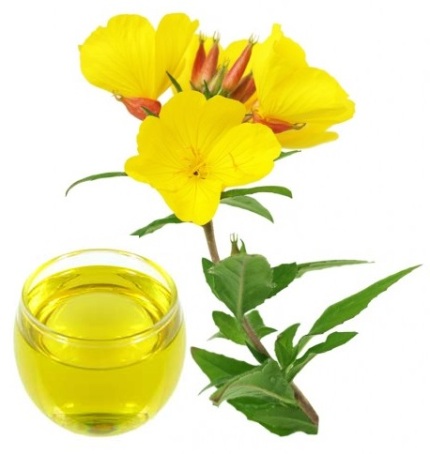 EVENING PRIMROSE OIL ADHD AND OTHER BENEFITS