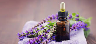 USING CLARY SAGE OIL AS AN APHRODISIAC AND 12 OTHER USES