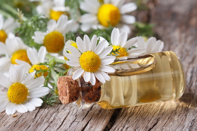 CHAMOMILE OIL FOR RASHES, SCARS, AGING SKIN, ACNE AND ECZEMA