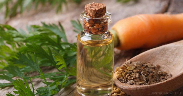 TEN USES OF CARROT SEED OIL FOR A HEALTHY MIND AND BODY