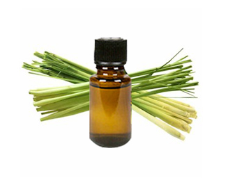 Top Five Lemongrass Essential Oil Products